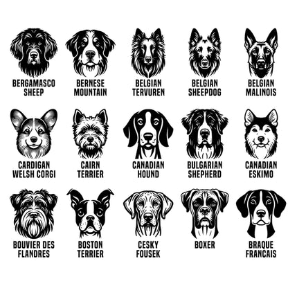 Llavero Grabado Mascota Perro Belgian, Canadian, Braque VK04